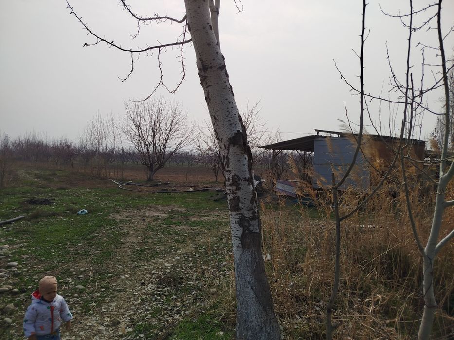 Бог сотилади Фаргона Кува йулида