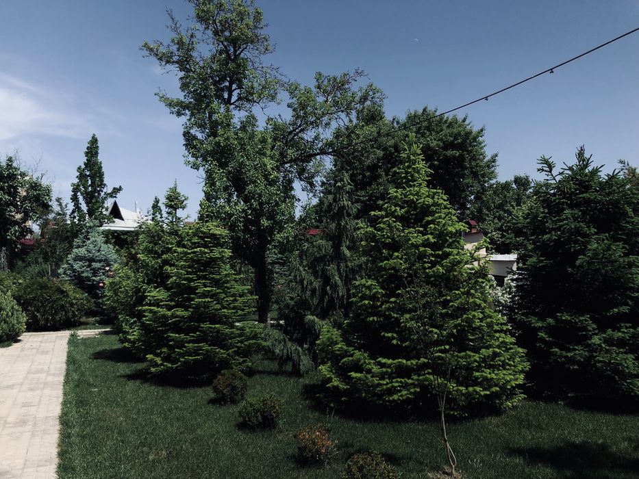 Продажа : Дача на майском