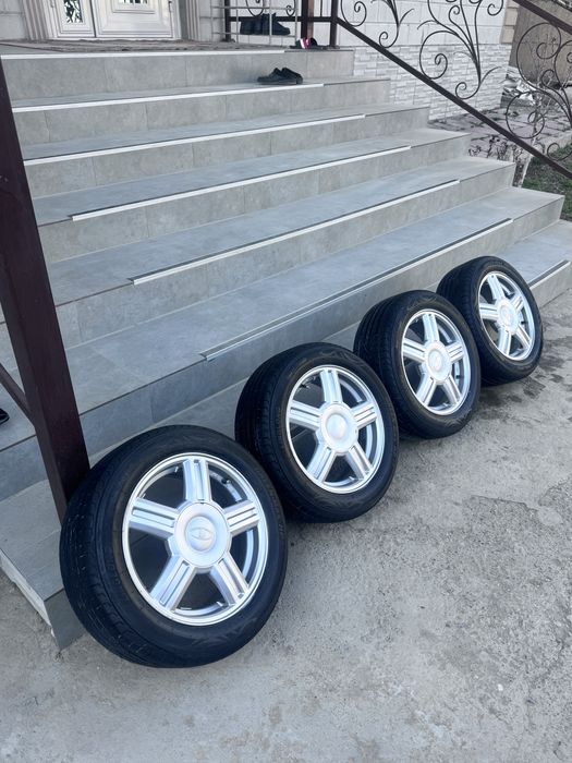 Торус торес торрус торрес 15