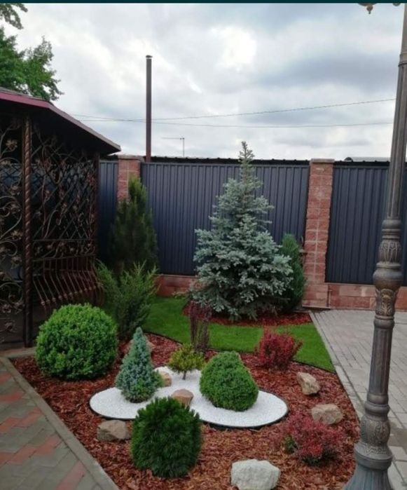 Ландшафт   газон озеленение