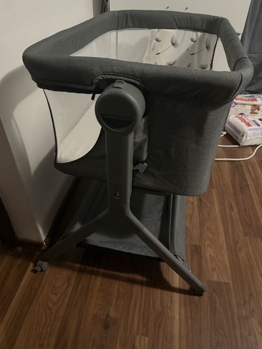 Patut Lionelo leonie plus