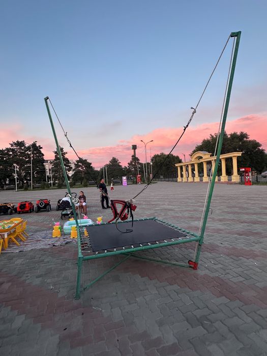 детская тарзанка