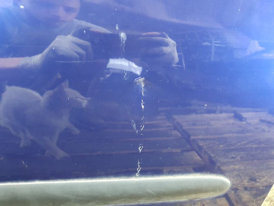 Usa portiera dreapta fata Seat Ibiza 3 6L [2002 - 2006]