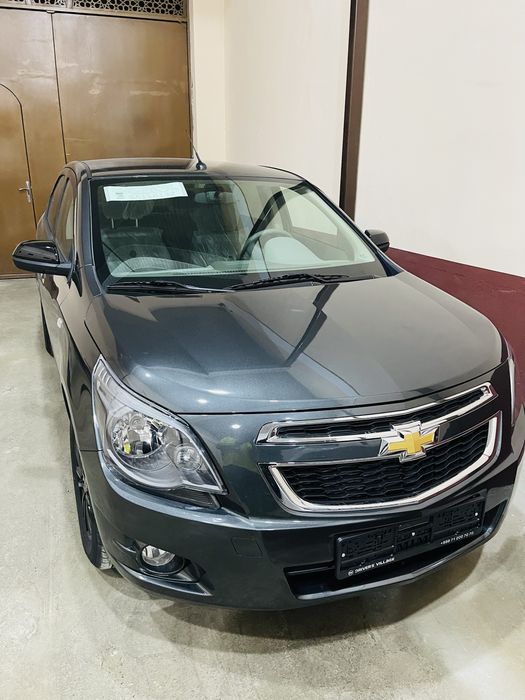 Cobalt midnignt 2025