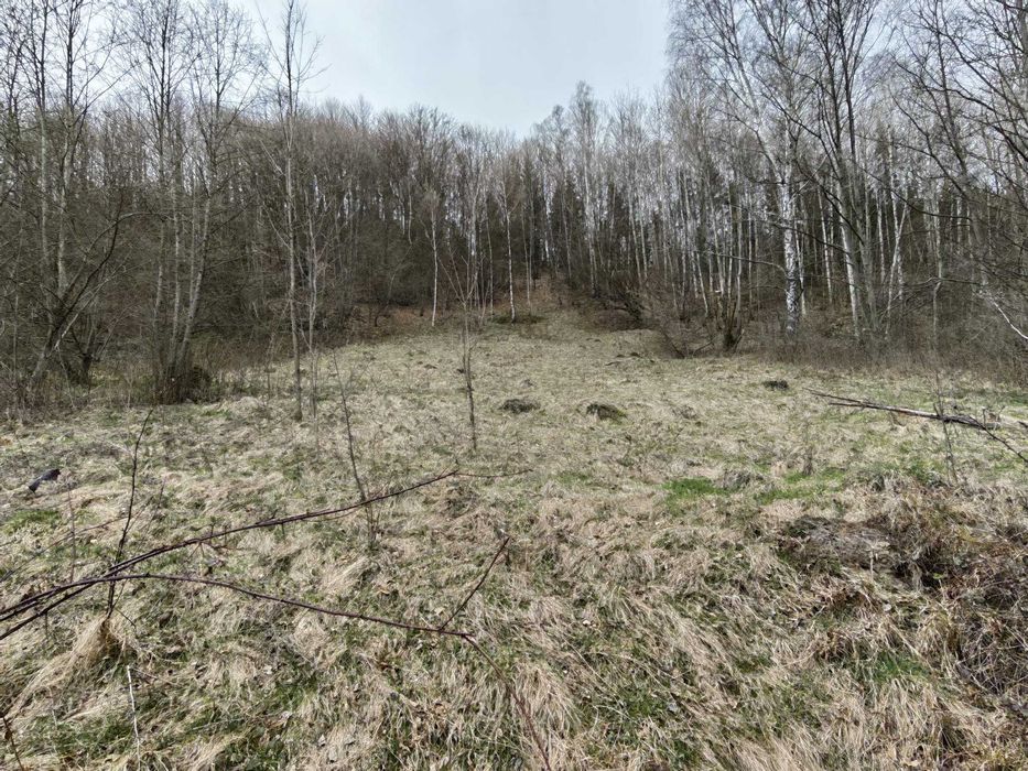 Teren superb 6.855 mp în Vulcan – Zona Schitul Sf. Nicolae