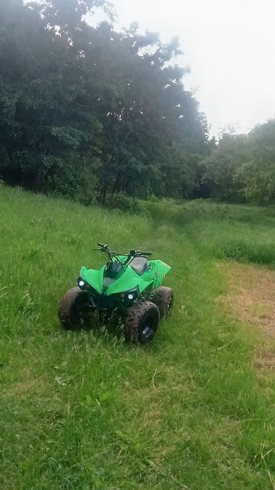 ATV 125 CC într-o stare ft bună îi trebuie janta pe față și e perfect