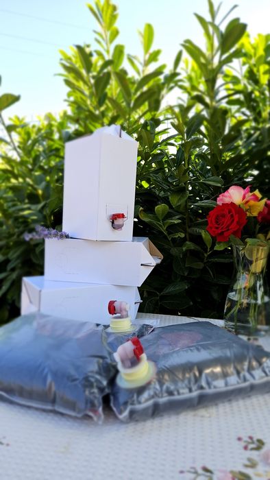 Suc de Aronia punga de 3 litri