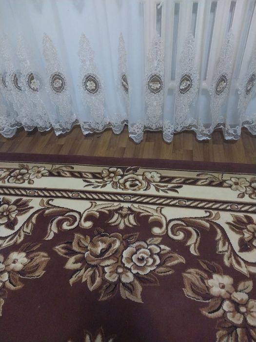 Прадайотса кавор