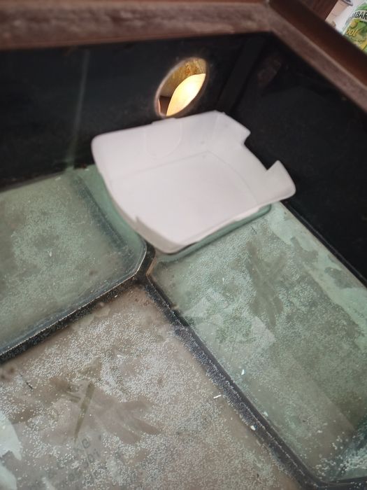 Acvariu premium Cleo Prest aquariums