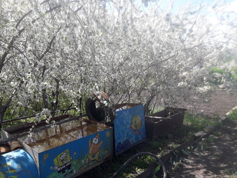 Продам дачу для души