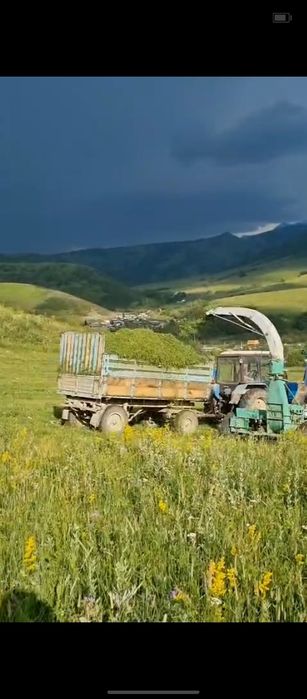 Продам сено в тюках и Сенаж