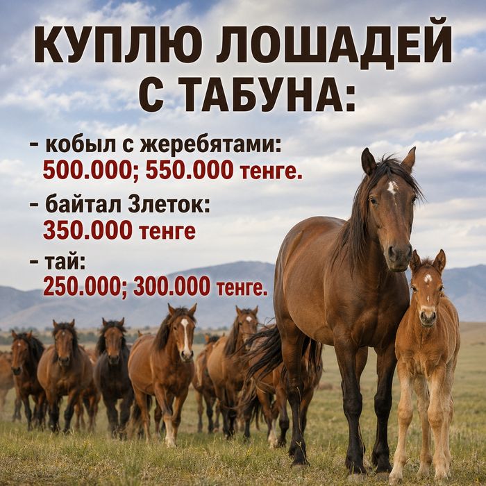 Кобылы с жеребятами Байтал Тай