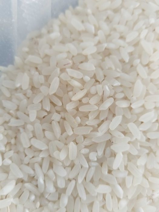 Рис маршалл оптом