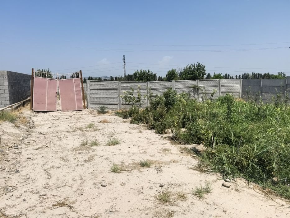 Боғишамол даҳасида Қуруқ ер сотилали