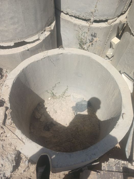 Калодис кришка любое размер