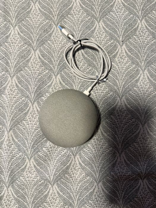 Google home ,fara cutie