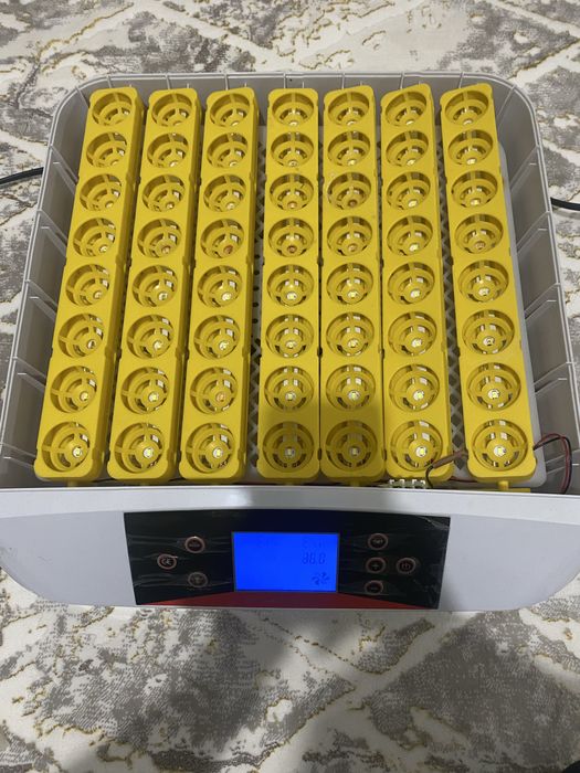 Inkubator 56 ta tuxum ketadi