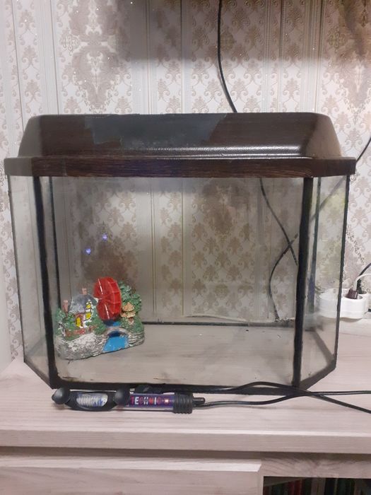 Аквариум с домиком и нагревателем