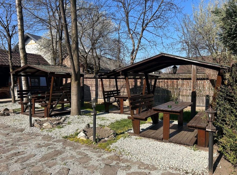 Spatiu comercial Viseu de jos
