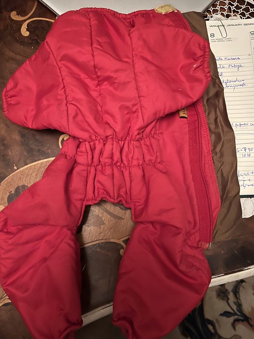 Hainuta caine talie mica