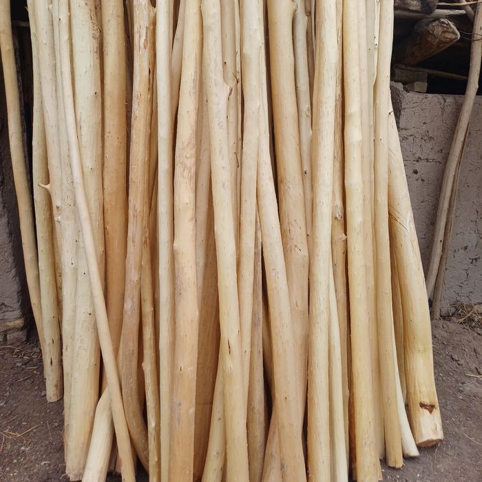 Qora tol Xada  kimda bor.