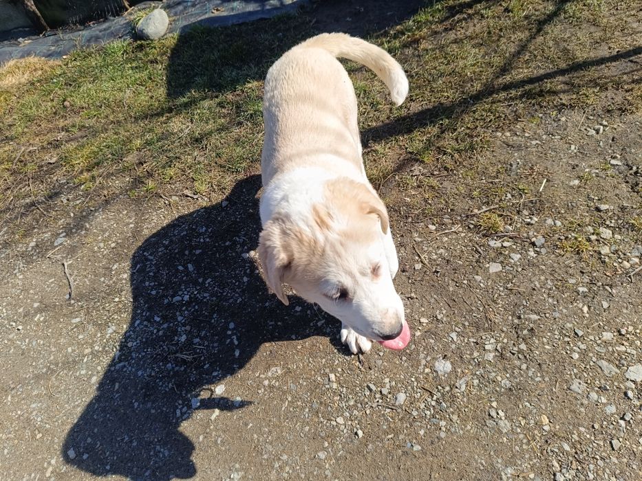 Asia centrala 3 luni