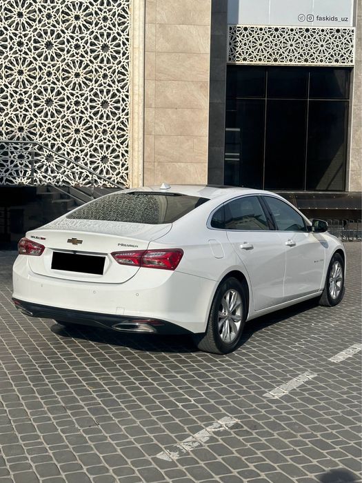 Malibu Premier Full Pozitsya