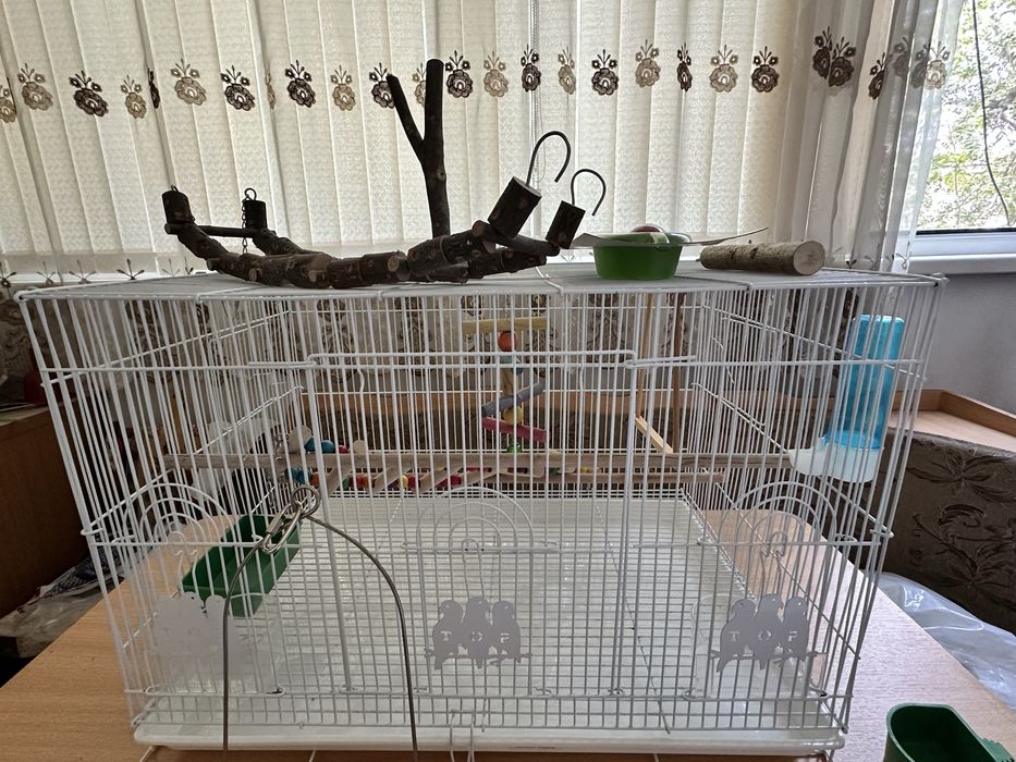 Игрушки для попугаев