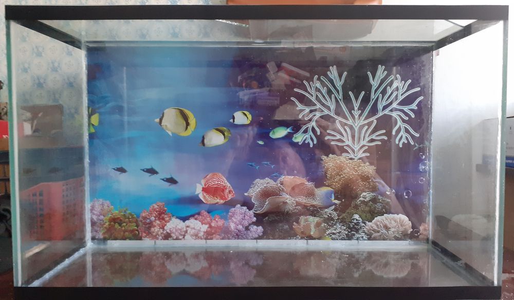 Аквариумы новые из стекла