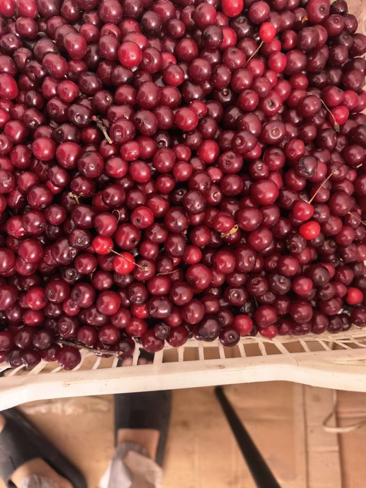 Продам вишня крупная сладкая