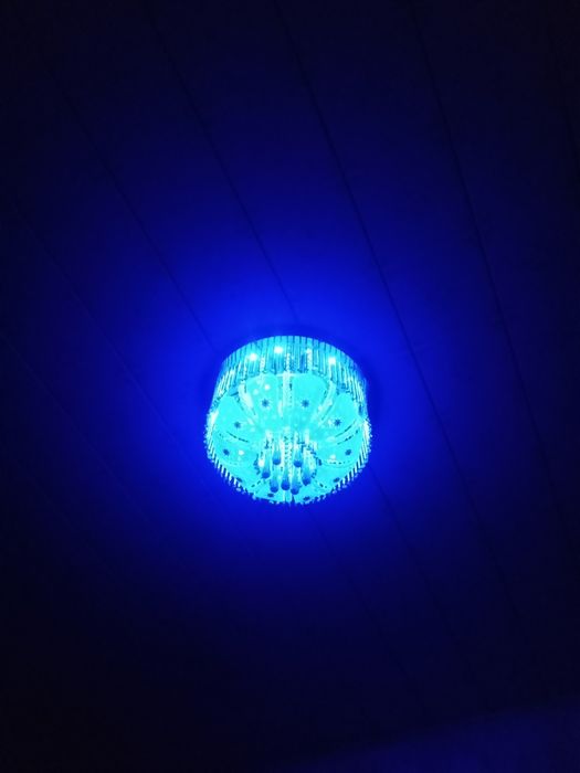 Люистра блутозли музикалний