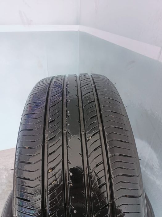 Продам ризину лето 3 болона