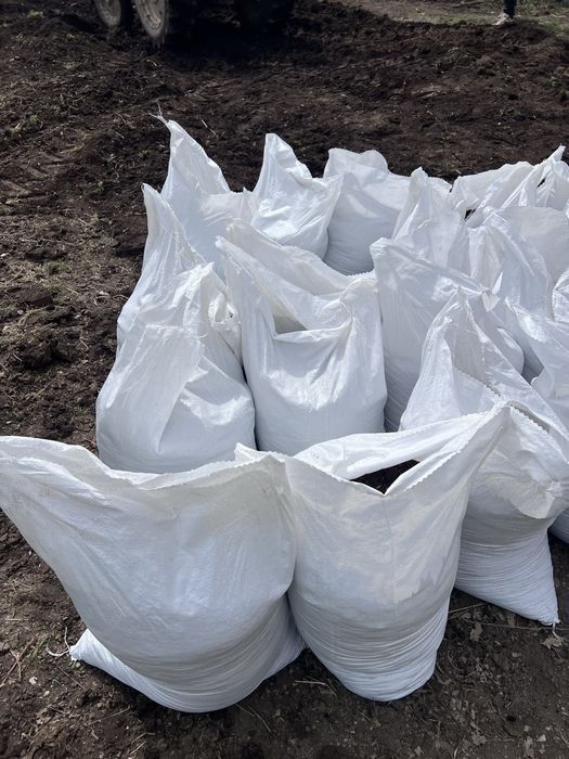 Прегоряла говежда оборска тор