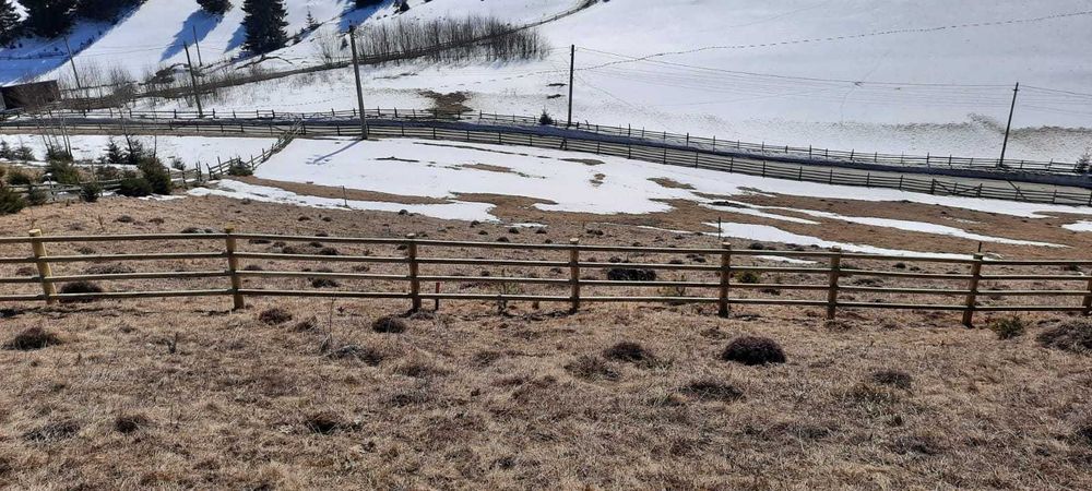 Gard robust din lemn tratat