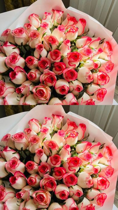 букет из 52роз..