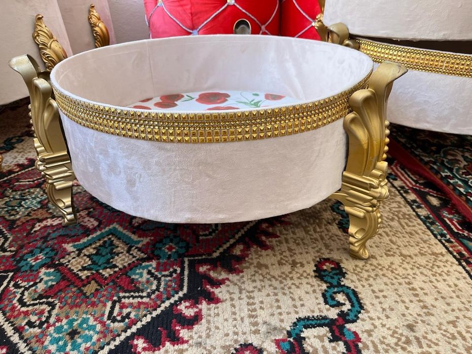 Той Бастар для кудалык