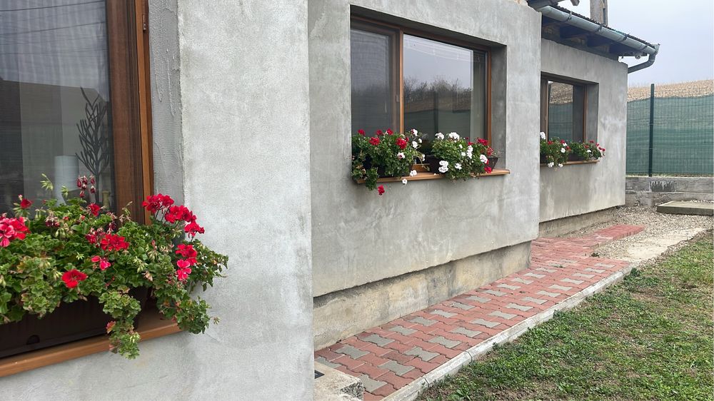 Inchiriez casa in seuca, la o fata, femeie serioasa, poate sa aiba si