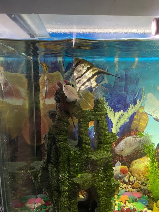 Продам аквариум 90 литров