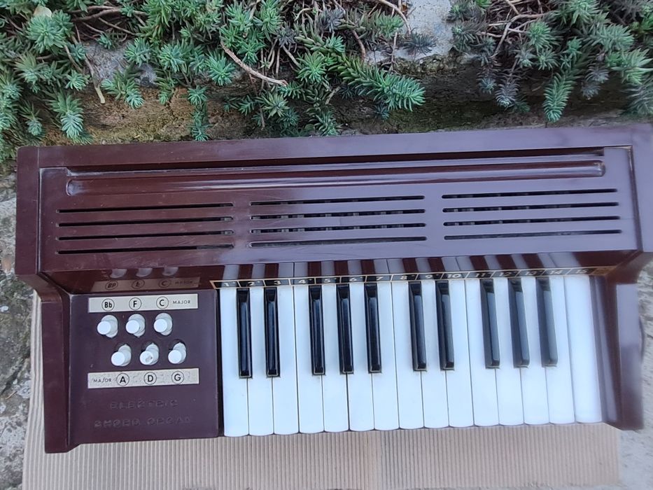 Електрически акорд орган Magnus 300