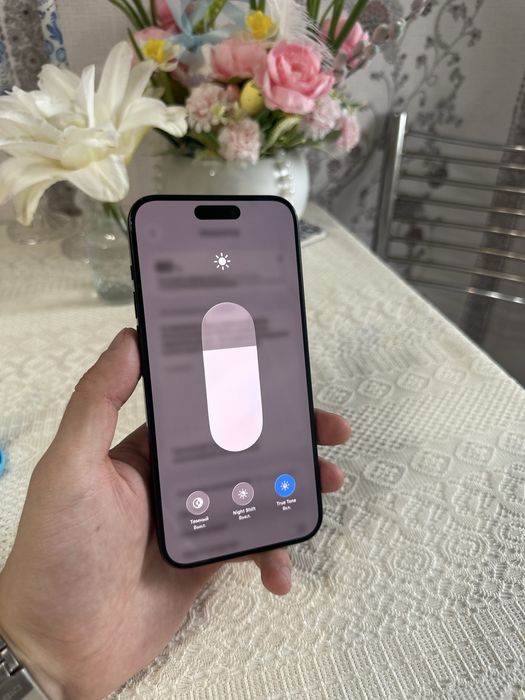 Iphone 15 pro max (256 gb)