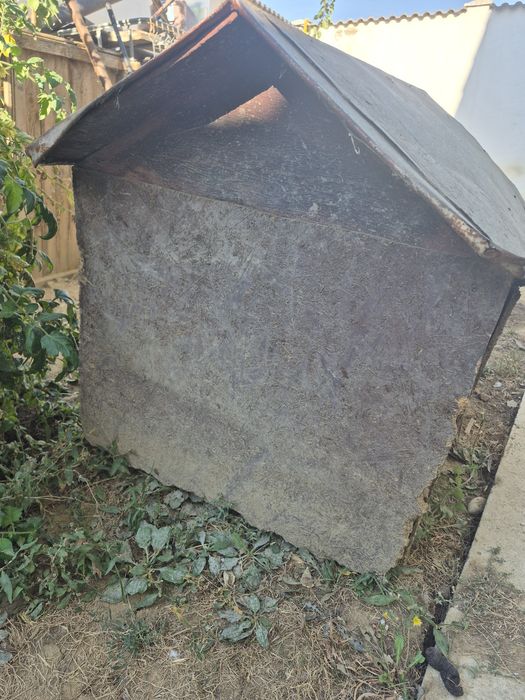 Cusca pentru cainne