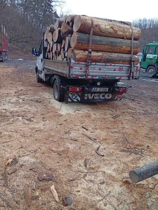 Lemne de foc fag esență tare