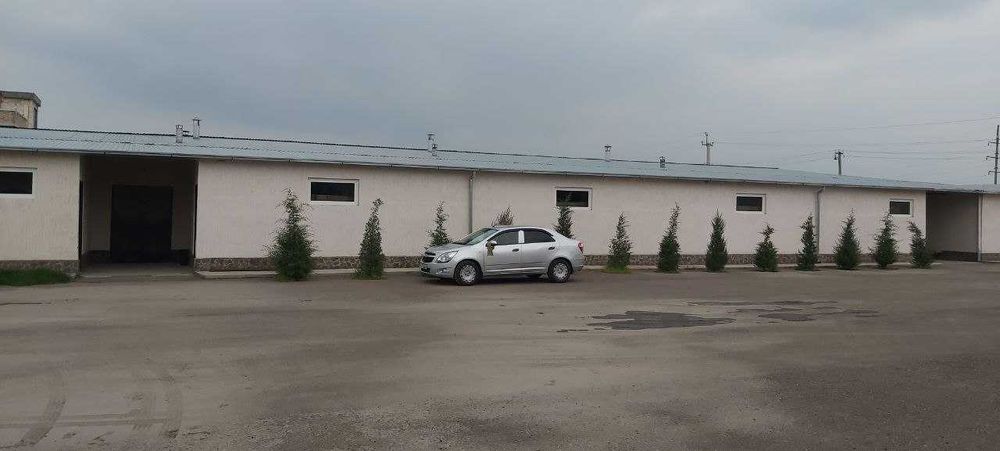 Участок 60 сот Мирзо Улугбекский район. Учхоз геофизика.