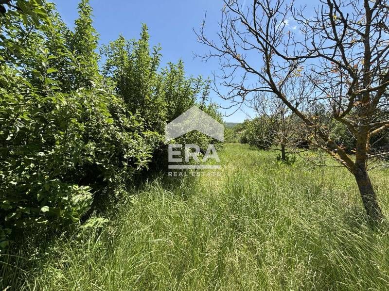 Продава се Парцел в с. Кривини, Област Варна - 967 кв.м за 26 €/кв.м - Снимка #3