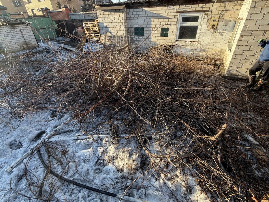 Отдам дрова даром самовывоз находится в городе