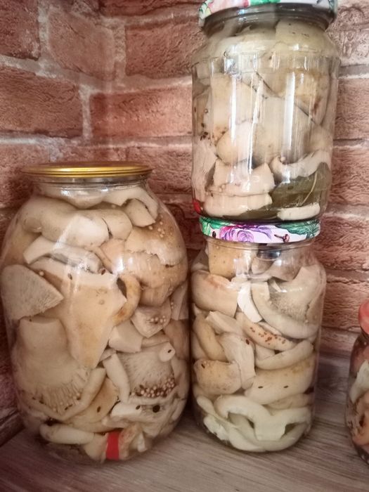 Грибы маринованные сезон 2025