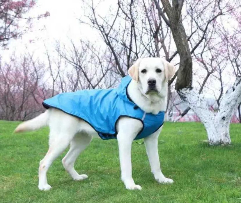 Плащ Дождевик для собак