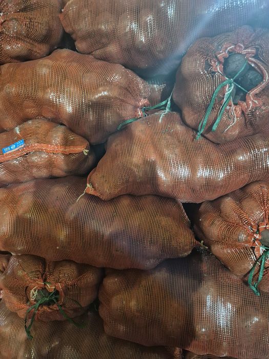 Картофель в сетках