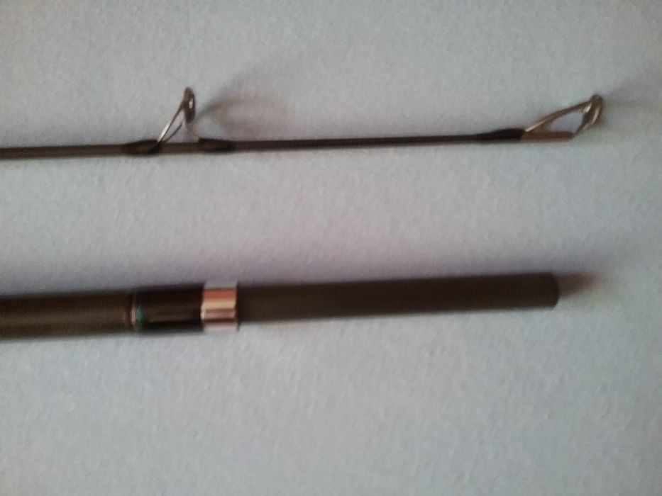 Lanseta somn Daiwa Powermesh catfish boat 2,75m,act 100-400g(noua)shim