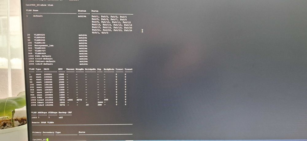 Switch Cisco 2950 pt CCNA, functionale